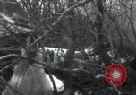 Image of P-47 Thunderbolt crash site Bissen Belgium, 1945, second 14 stock footage video 65675080130