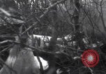Image of P-47 Thunderbolt crash site Bissen Belgium, 1945, second 15 stock footage video 65675080130