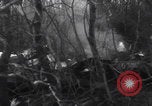 Image of P-47 Thunderbolt crash site Bissen Belgium, 1945, second 18 stock footage video 65675080130