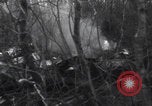 Image of P-47 Thunderbolt crash site Bissen Belgium, 1945, second 19 stock footage video 65675080130