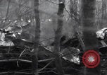 Image of P-47 Thunderbolt crash site Bissen Belgium, 1945, second 21 stock footage video 65675080130