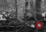 Image of P-47 Thunderbolt crash site Bissen Belgium, 1945, second 22 stock footage video 65675080130
