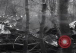 Image of P-47 Thunderbolt crash site Bissen Belgium, 1945, second 23 stock footage video 65675080130