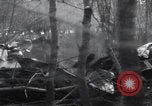 Image of P-47 Thunderbolt crash site Bissen Belgium, 1945, second 24 stock footage video 65675080130