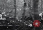 Image of P-47 Thunderbolt crash site Bissen Belgium, 1945, second 25 stock footage video 65675080130