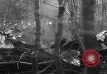 Image of P-47 Thunderbolt crash site Bissen Belgium, 1945, second 26 stock footage video 65675080130