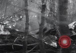 Image of P-47 Thunderbolt crash site Bissen Belgium, 1945, second 27 stock footage video 65675080130