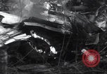 Image of P-47 Thunderbolt crash site Bissen Belgium, 1945, second 29 stock footage video 65675080130