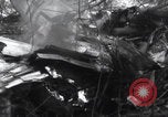 Image of P-47 Thunderbolt crash site Bissen Belgium, 1945, second 32 stock footage video 65675080130