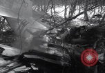 Image of P-47 Thunderbolt crash site Bissen Belgium, 1945, second 34 stock footage video 65675080130