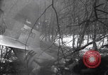 Image of P-47 Thunderbolt crash site Bissen Belgium, 1945, second 37 stock footage video 65675080130