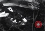 Image of P-47 Thunderbolt crash site Bissen Belgium, 1945, second 44 stock footage video 65675080130