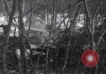 Image of P-47 Thunderbolt crash site Bissen Belgium, 1945, second 49 stock footage video 65675080130