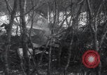 Image of P-47 Thunderbolt crash site Bissen Belgium, 1945, second 53 stock footage video 65675080130
