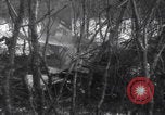 Image of P-47 Thunderbolt crash site Bissen Belgium, 1945, second 55 stock footage video 65675080130