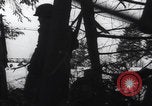 Image of US 67th Armored Regiment 2nd Armored Division Houffalize Belgium, 1945, second 8 stock footage video 65675080132