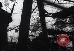 Image of US 67th Armored Regiment 2nd Armored Division Houffalize Belgium, 1945, second 10 stock footage video 65675080132