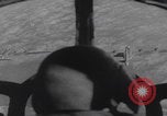 Image of Boeing B-29 bombing run Japan, 1945, second 29 stock footage video 65675080134