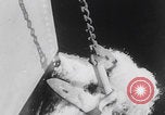 Image of 81st Infantry Division dry run practice Guadalcanal Solomon Islands, 1944, second 9 stock footage video 65675080158