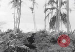 Image of 81st Infantry Division dry run practice Guadalcanal Solomon Islands, 1944, second 50 stock footage video 65675080158