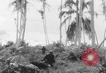 Image of 81st Infantry Division dry run practice Guadalcanal Solomon Islands, 1944, second 51 stock footage video 65675080158