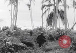 Image of 81st Infantry Division dry run practice Guadalcanal Solomon Islands, 1944, second 52 stock footage video 65675080158