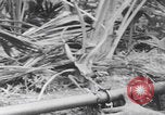 Image of 81st Infantry Division dry run practice Guadalcanal Solomon Islands, 1944, second 53 stock footage video 65675080158