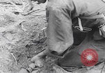 Image of 81st Infantry Division dry run practice Guadalcanal Solomon Islands, 1944, second 57 stock footage video 65675080158