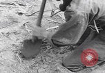 Image of 81st Infantry Division dry run practice Guadalcanal Solomon Islands, 1944, second 58 stock footage video 65675080158