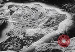 Image Des trous de bœuf japonais ont brûlé à Angaur Îles Palaos d'Angaur, 1944, de la seconde 1 séquences d'archives historiques vidéo 65675080162