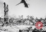 Image Des trous de bœuf japonais ont brûlé à Angaur Îles Palaos d'Angaur, 1944, de la seconde 8 séquences d'archives historiques vidéo 65675080162
