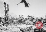 Image Des trous de bœuf japonais ont brûlé à Angaur Îles Palaos d'Angaur, 1944, de la seconde 9 séquences d'archives historiques vidéo 65675080162