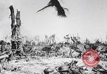 Image Des trous de bœuf japonais ont brûlé à Angaur Îles Palaos d'Angaur, 1944, de la seconde 11 séquences d'archives historiques vidéo 65675080162
