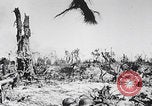 Image Des trous de bœuf japonais ont brûlé à Angaur Îles Palaos d'Angaur, 1944, de la seconde 12 séquences d'archives historiques vidéo 65675080162