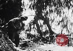 Image Des trous de bœuf japonais ont brûlé à Angaur Îles Palaos d'Angaur, 1944, de la seconde 14 séquences d'archives historiques vidéo 65675080162