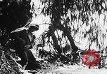 Image Des trous de bœuf japonais ont brûlé à Angaur Îles Palaos d'Angaur, 1944, de la seconde 15 séquences d'archives historiques vidéo 65675080162