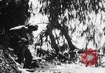 Image Des trous de bœuf japonais ont brûlé à Angaur Îles Palaos d'Angaur, 1944, de la seconde 16 séquences d'archives historiques vidéo 65675080162