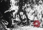 Image Des trous de bœuf japonais ont brûlé à Angaur Îles Palaos d'Angaur, 1944, de la seconde 17 séquences d'archives historiques vidéo 65675080162