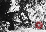 Image Des trous de bœuf japonais ont brûlé à Angaur Îles Palaos d'Angaur, 1944, de la seconde 18 séquences d'archives historiques vidéo 65675080162