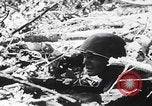 Image Des trous de bœuf japonais ont brûlé à Angaur Îles Palaos d'Angaur, 1944, de la seconde 19 séquences d'archives historiques vidéo 65675080162