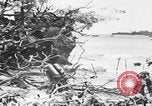 Image Des trous de bœuf japonais ont brûlé à Angaur Îles Palaos d'Angaur, 1944, de la seconde 30 séquences d'archives historiques vidéo 65675080162