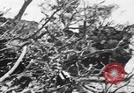 Image Des trous de bœuf japonais ont brûlé à Angaur Îles Palaos d'Angaur, 1944, de la seconde 31 séquences d'archives historiques vidéo 65675080162