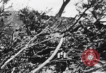 Image Des trous de bœuf japonais ont brûlé à Angaur Îles Palaos d'Angaur, 1944, de la seconde 32 séquences d'archives historiques vidéo 65675080162