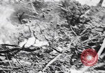 Image Des trous de bœuf japonais ont brûlé à Angaur Îles Palaos d'Angaur, 1944, de la seconde 33 séquences d'archives historiques vidéo 65675080162
