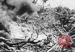 Image Des trous de bœuf japonais ont brûlé à Angaur Îles Palaos d'Angaur, 1944, de la seconde 34 séquences d'archives historiques vidéo 65675080162