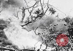 Image Des trous de bœuf japonais ont brûlé à Angaur Îles Palaos d'Angaur, 1944, de la seconde 35 séquences d'archives historiques vidéo 65675080162