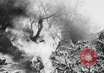 Image Des trous de bœuf japonais ont brûlé à Angaur Îles Palaos d'Angaur, 1944, de la seconde 36 séquences d'archives historiques vidéo 65675080162