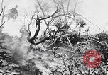 Image Des trous de bœuf japonais ont brûlé à Angaur Îles Palaos d'Angaur, 1944, de la seconde 37 séquences d'archives historiques vidéo 65675080162