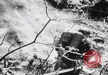 Image Des trous de bœuf japonais ont brûlé à Angaur Îles Palaos d'Angaur, 1944, de la seconde 38 séquences d'archives historiques vidéo 65675080162