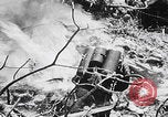 Image Des trous de bœuf japonais ont brûlé à Angaur Îles Palaos d'Angaur, 1944, de la seconde 39 séquences d'archives historiques vidéo 65675080162